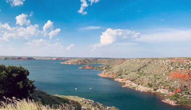 Wildlife officials sound the alarm over Texas lake 'infested' with invasive species