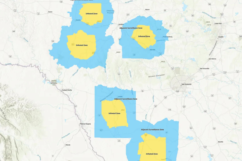 Screenshot of Texas Parks and Wildlife map shows the infected Screwworm zones in Texas.