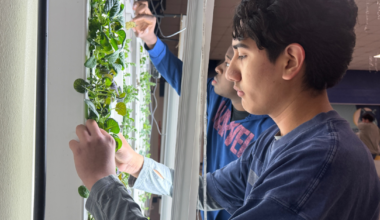 Inside the shared campus of CityLab and IDEA