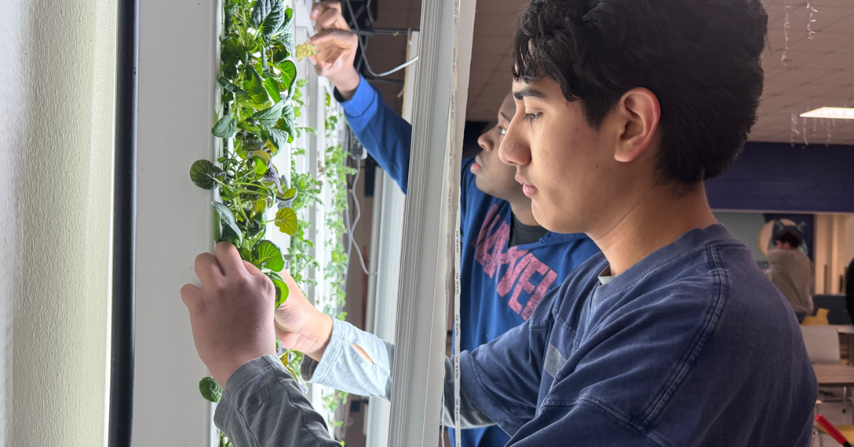 Inside the shared campus of CityLab and IDEA