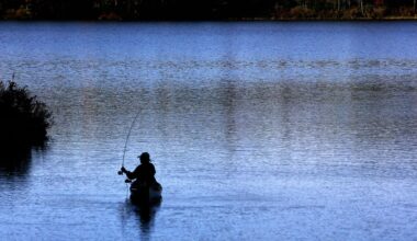 A fly fisher casts on a pond, Sunday, Oct. 6, 2024. (AP Photo/Caleb Jones)