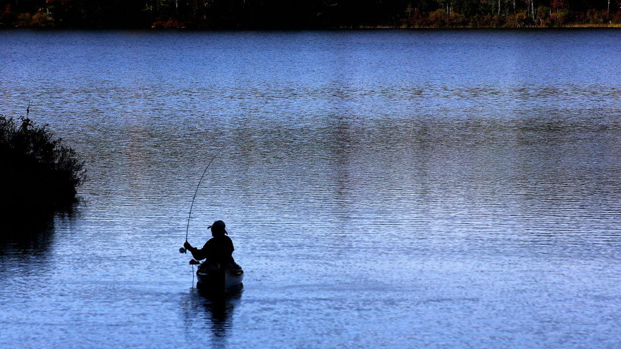 A fly fisher casts on a pond, Sunday, Oct. 6, 2024. (AP Photo/Caleb Jones)