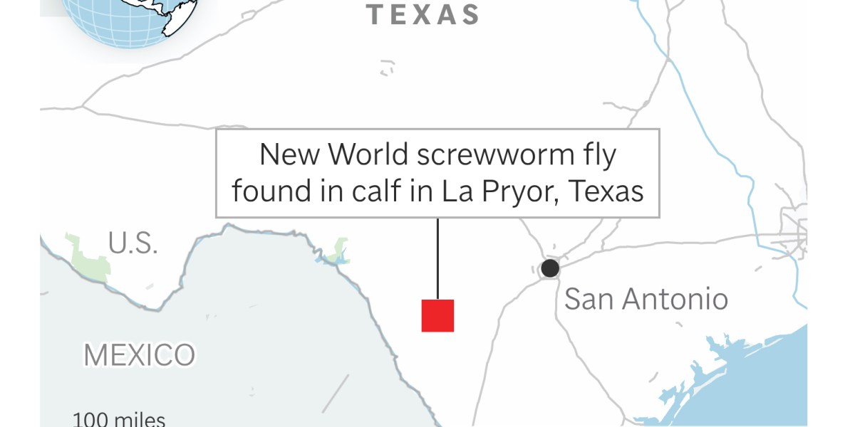 A flesh-eating fly just crossed into Texas. The last time it did, it took 30 years to stop