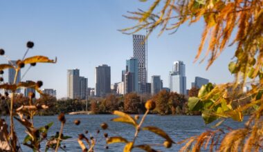 Foliage frames the skyline of downtown Austin, Texas, Dec. 10, 2025. (Mikala Compton/Austin American-Statesman via AP)