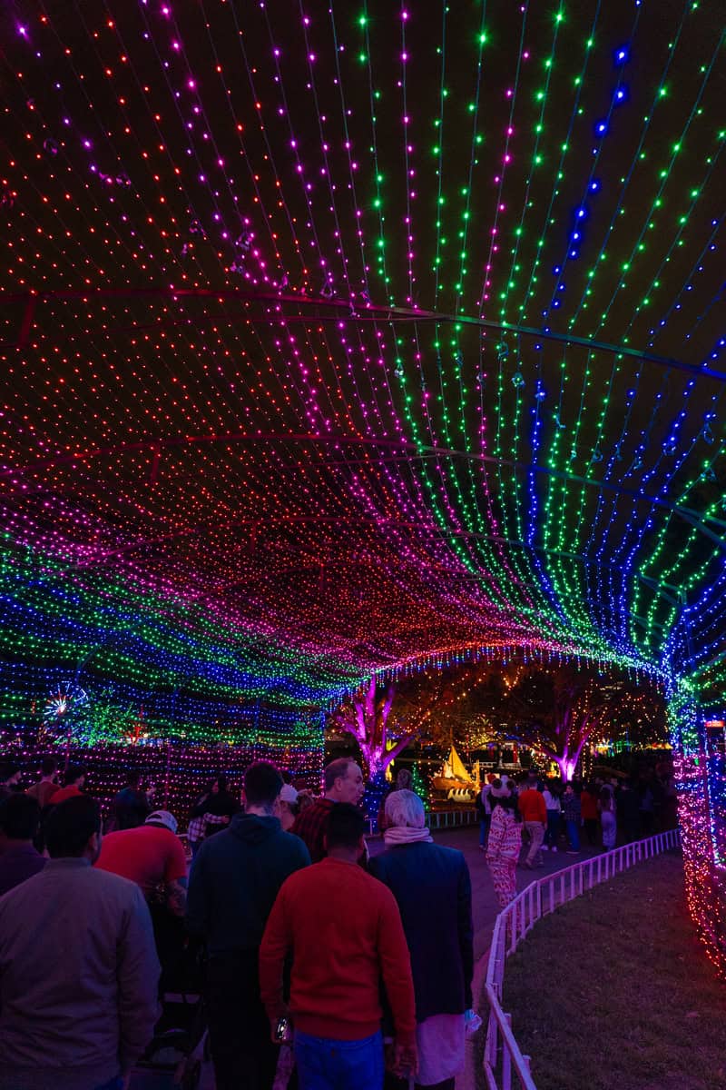 Colorful hanging lights create a vibrant canopy over a crowd at a night event.