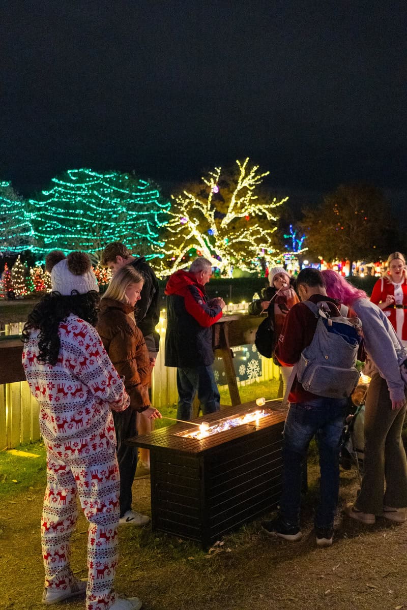 People at an outdoor event with festive lights and a fire pit.