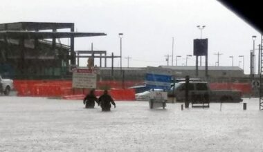 Stopping the flood - News