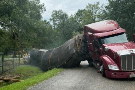 Millions of honeybees escape after Texas semitrailer crash