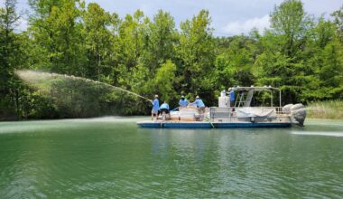 Harmful blue-green algae spotted in Austin waterways