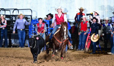 a woman riding a horse ropes a cow