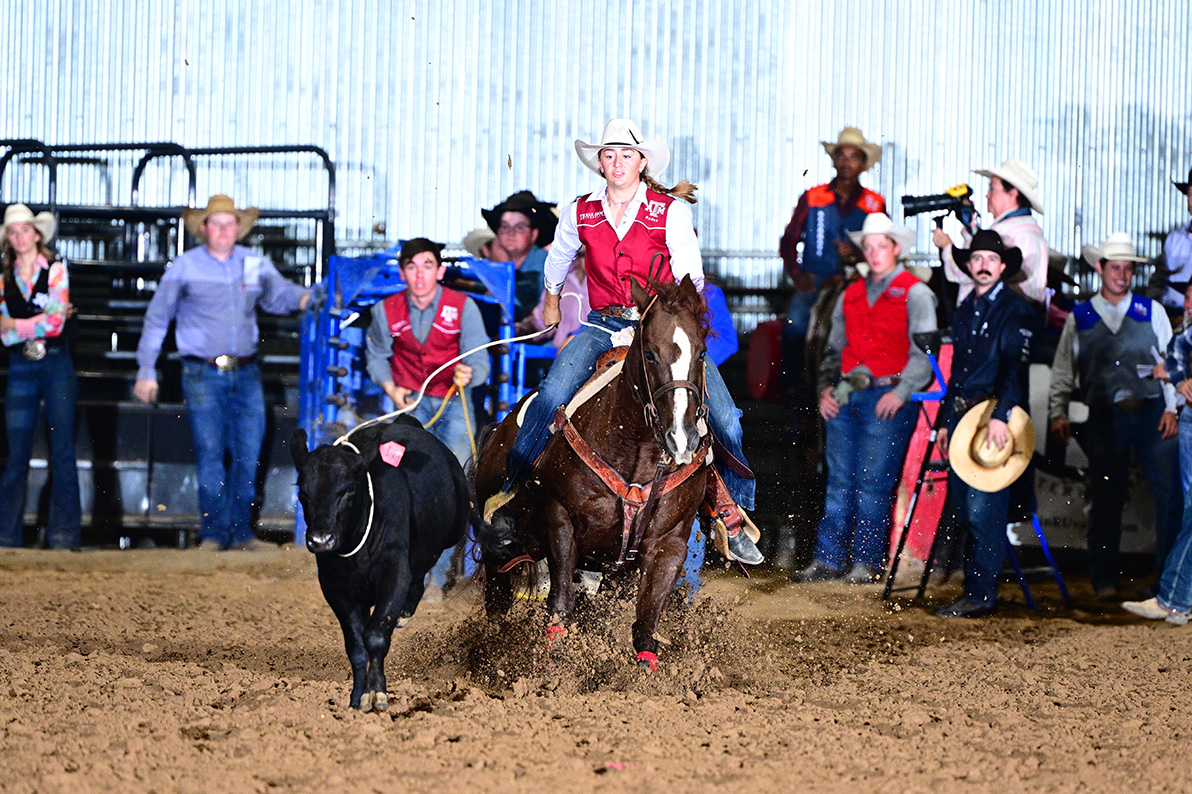 a woman riding a horse ropes a cow