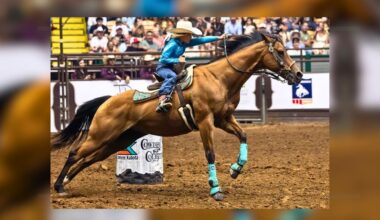 Catch The June 29 Stockyards Rodeo In Fort Worth