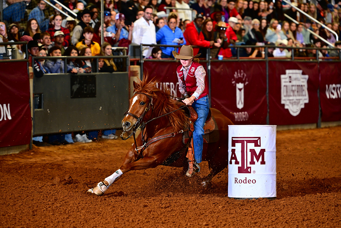 a woman on a horse takes a tight turn around a barrel