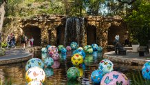 Hunt Slonem grotto Dallas Arboretum 2026