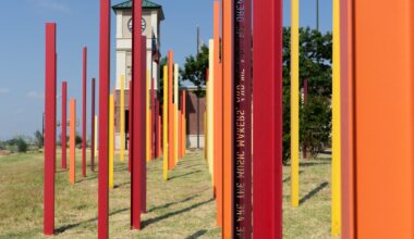What are the Fort Worth library’s strengths? What needs to be fixed?
