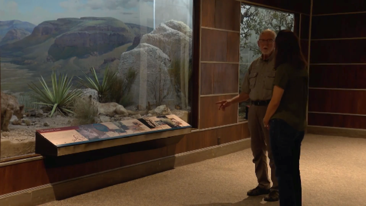 Dallas Museum of Natural History reopens during World Cup – NBC 5 Dallas-Fort Worth