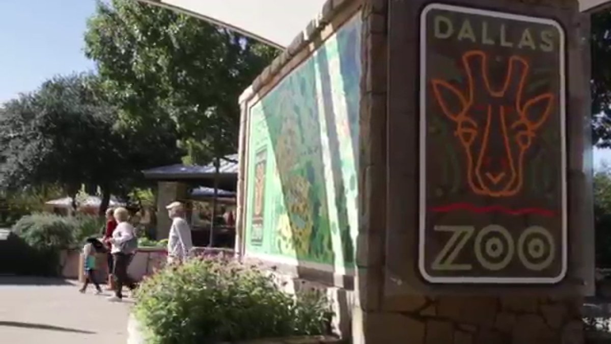 Dallas Zoo Dollar Days tickets are on sale for summer 2026 – NBC 5 Dallas-Fort Worth