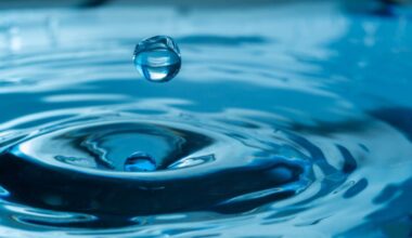 Dallas Water Bill Crisis