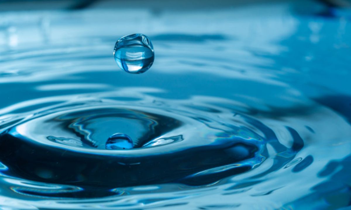 Dallas Water Bill Crisis