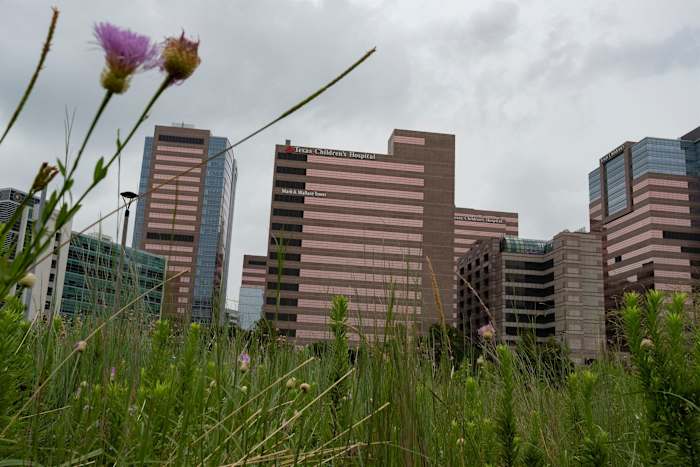New details released on Texas Children’s Hospital’s planned detransition clinic