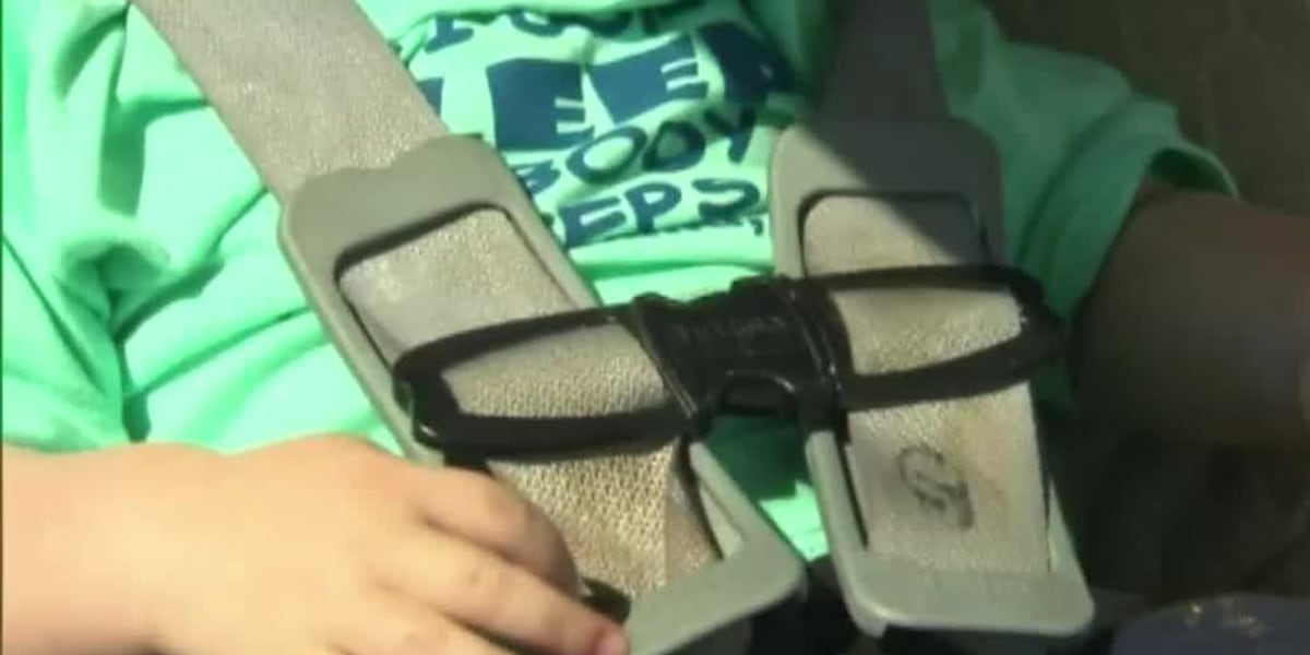 Lubbock police warn of dangers of leaving children, pets in hot cars