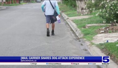 Brownsville mail carrier recalls dog attack as Texas ranks 2nd nationwide for dog bites on postal workers