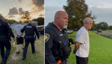 Convicted sex offender arrested again for allegedly possessing child pornography, Harris County Pct. 1 deputies say