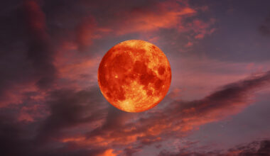 The spectacular 'Strawberry Moon' will peak over Dallas next week — here is exactly when to see this symbol of luck