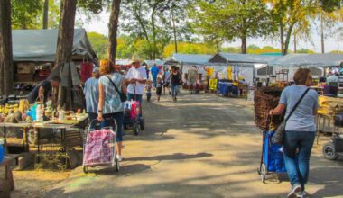 Just 1 hour from Dallas: this 450-acre vintage market is the largest in the world and features food trucks, antiques, and live music