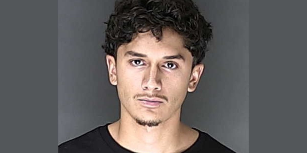 Father arrested after investigation into abuse of twin infants