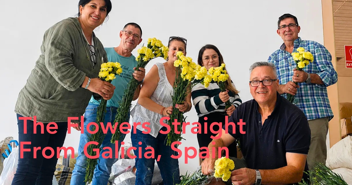 Galician flowers for the Pope