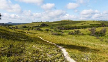 Balcones Canyonlands wildlife refuge, home to endangered songbird, adds more than 600 acres