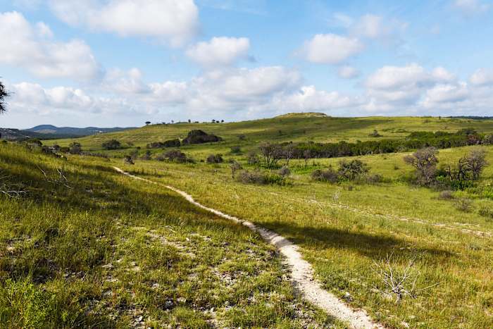Balcones Canyonlands wildlife refuge, home to endangered songbird, adds more than 600 acres