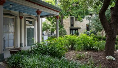 Hemisfair seeks $37.8M in 2027 bond to finish Tower Park
