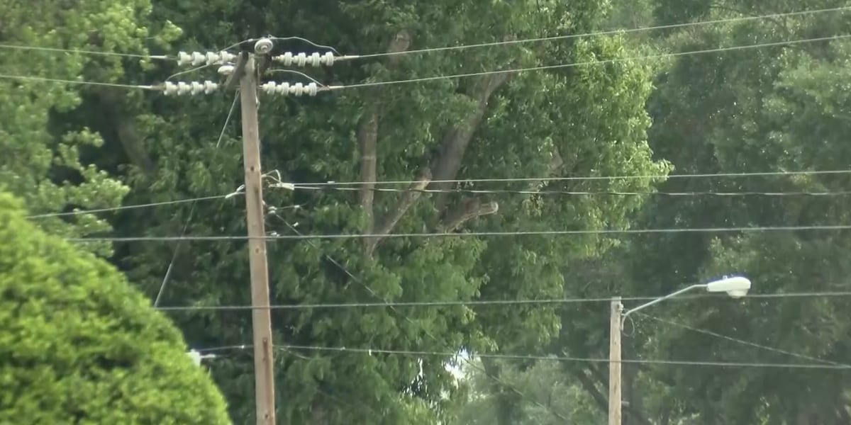 SWEPCO takes first steps in multi-year effort to modernize electrical infrastructure in east Texas