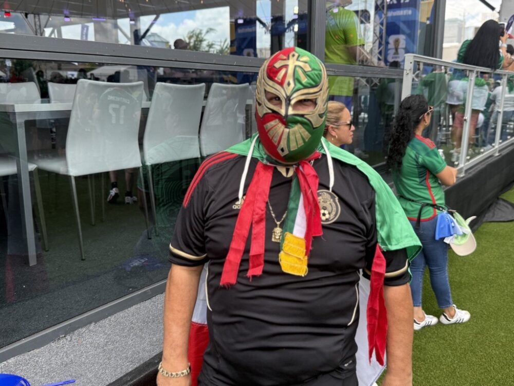 World Cup fans