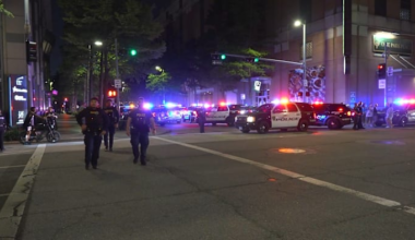 Houston police respond to ‘teen takeover’ at Discovery Green; shots fired, 2 detained with guns