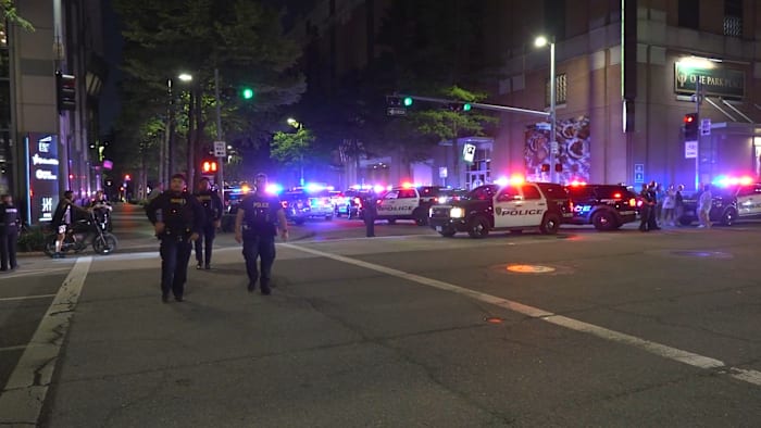Houston police respond to ‘teen takeover’ at Discovery Green; shots fired, 2 detained with guns