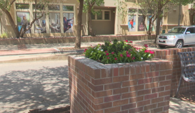 Lubbock approves contract to control grackle problem in North Overton