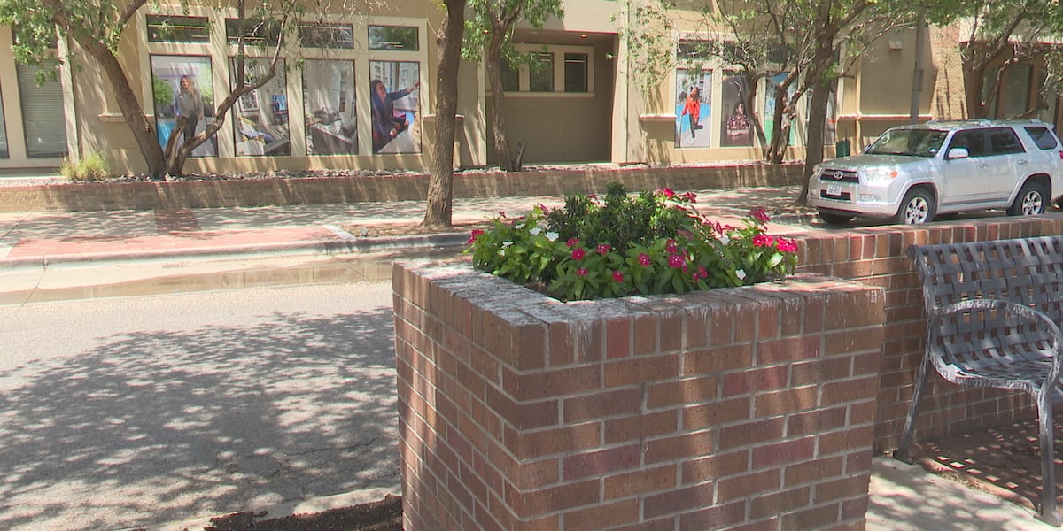 Lubbock approves contract to control grackle problem in North Overton