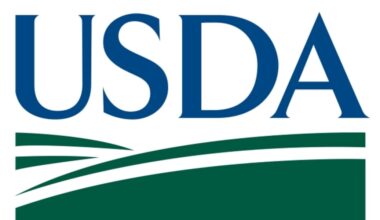 USDA investigating possible New World screwworm case in south Texas