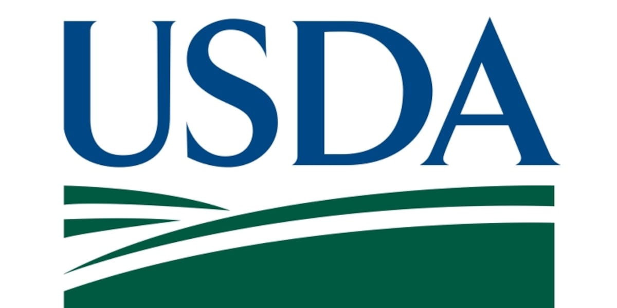 USDA investigating possible New World screwworm case in south Texas