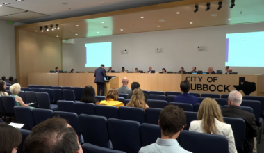 Lubbock City Council rejects alley paving ordinance, accepts spay and neuter grant