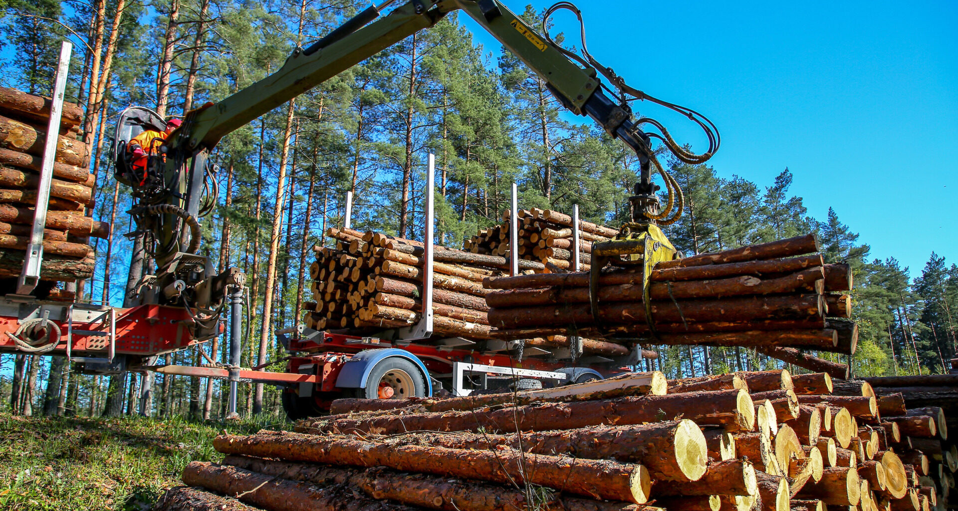 Texas A&M Forest Service launches Wood Flow South website
