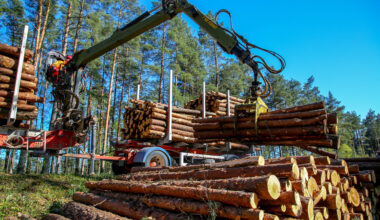 Texas A&M Forest Service launches Wood Flow South website