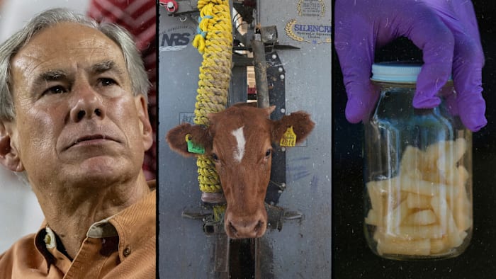 Greg Abbott warns of ‘challenging summer’ after flesh-eating parasite found in Texas