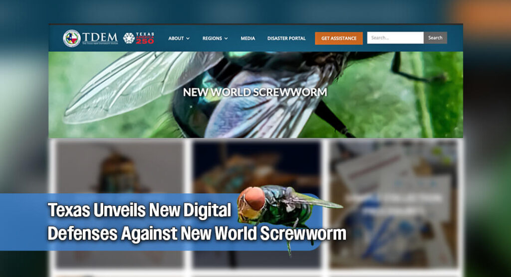 Texas Launches Centralized Hub for New World Screwworm Resources and Updates