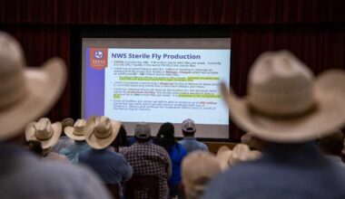 Where is screwworm in Texas? Track cases here.