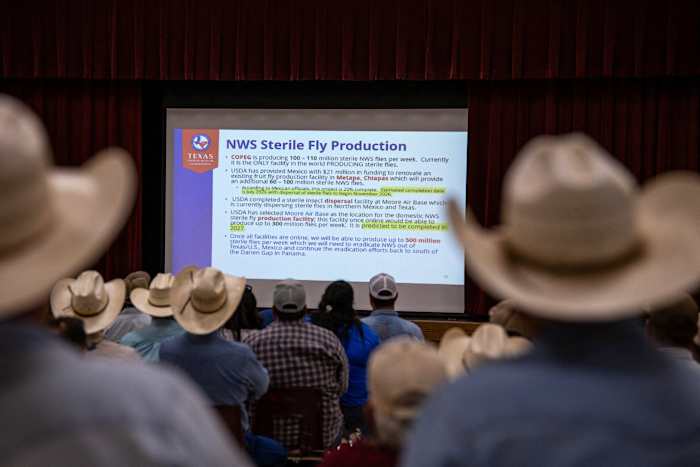 Where is screwworm in Texas? Track cases here.