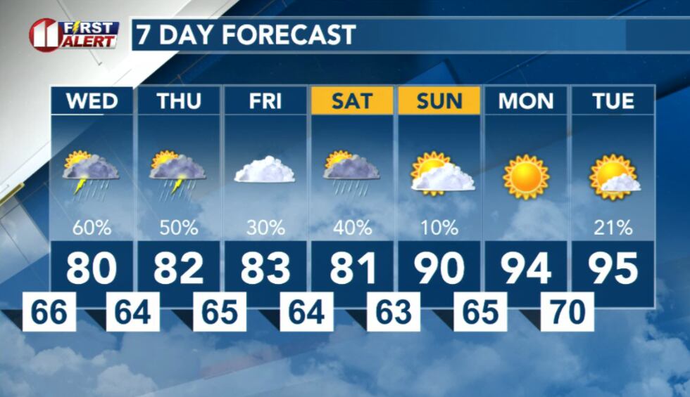 7 Day Forecast